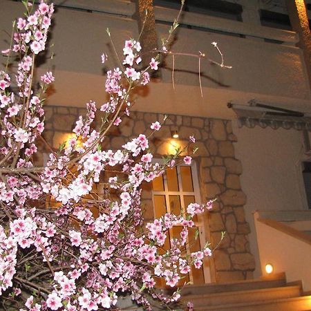 Villa Kokkinos Ποτός Εξωτερικό φωτογραφία